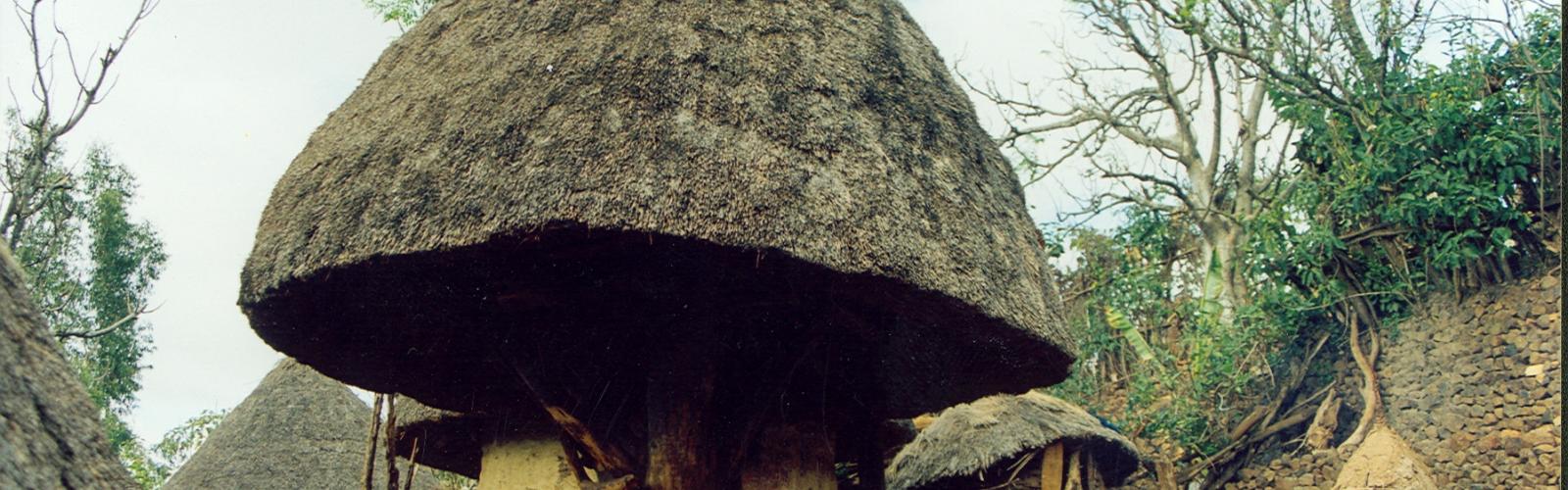 Konso Cultural Landscape